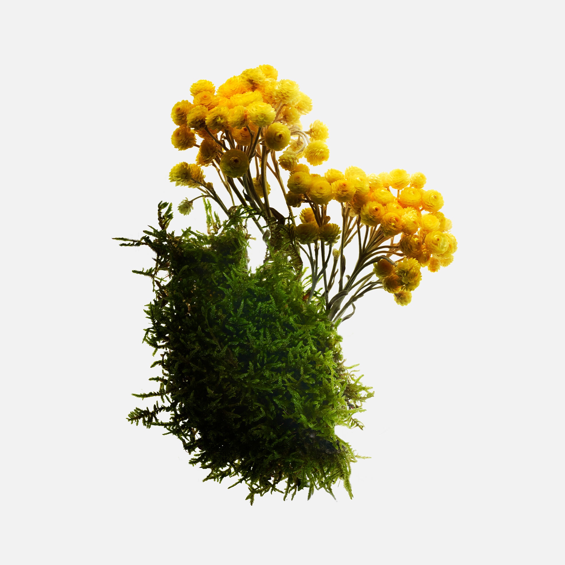 Skin Ressource Mask - 72h intense hydratation mask | Givenchy Beauty